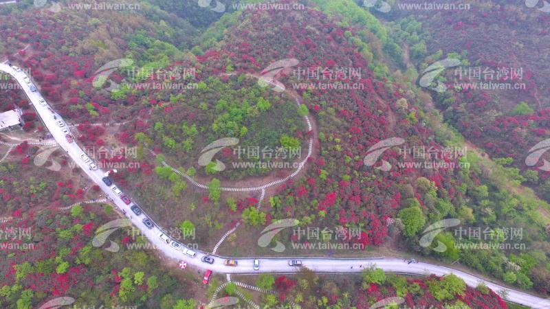 空中俯瞰杭瑞高速贵州金沙段杜鹃花景区(2/4)图片